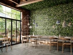 Efeuwand im Restaurant (311)