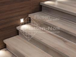 Holztreppe Holzstufen Stufen aus Feinsteinzeug (205-BR)